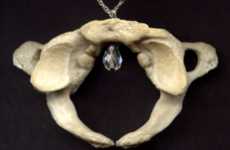Osseous Jewelry