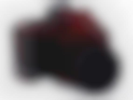 High-Tech Hybrid Cameras