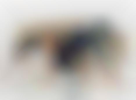 World Tour Watercolors