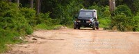 Stripped-Down SUVs Image 3