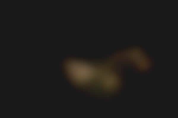Criminal Minds Photography