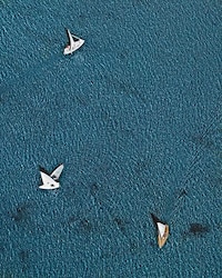 Summer Beach Aerials Image 7