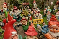 Gargantuan Garden Gnome Collections Image 3