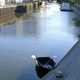Bendable Floaters Image 6