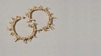 Glamorous Equestrian Accessories Image 5