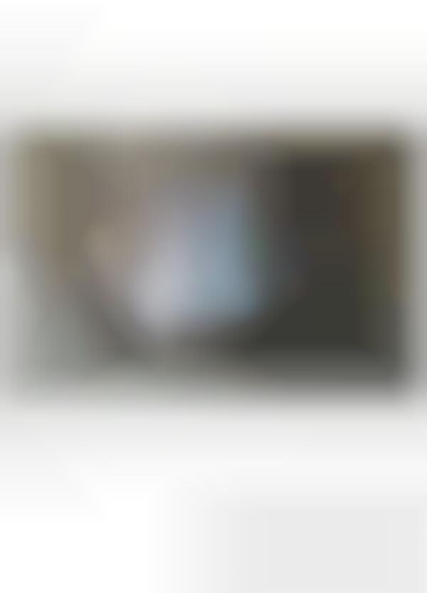Classic Paintlike Photography