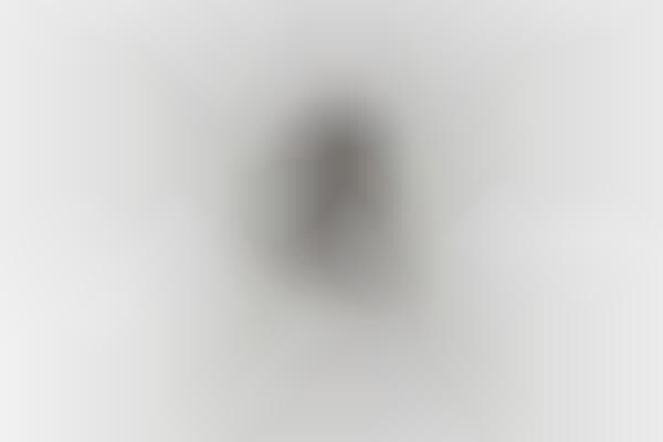 designer graphic tees