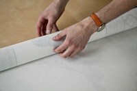 Intricate Carpet Illustrations Image 3