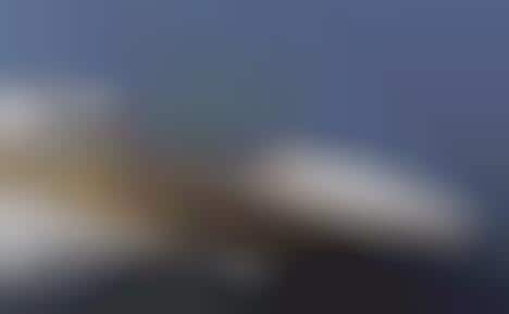 $5 Billion Water Commuters