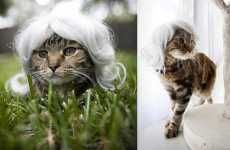 Hairpieces for Cats