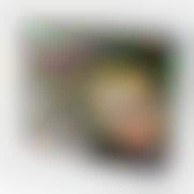 “A Christmas Story” Board Game