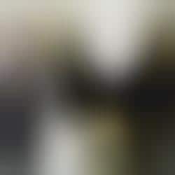 Monks Create Cult Brand