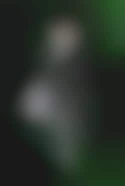 Mouth-Blown Christmas Decorations