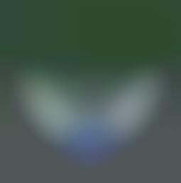 Dog Houses With Green Roofs