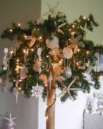 Top 16 Christmas Trees + Beach-Themed Christmas Palm 