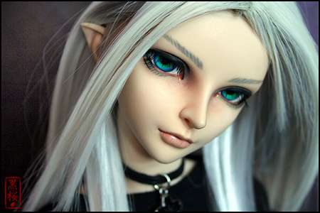 Customizable Dolls for Adults