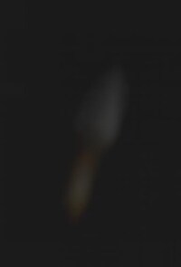 $96,000 Champagne Flute Image 1