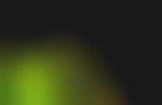 Neon Fashion