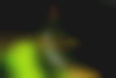 Neon Fashion