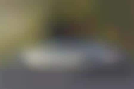 Porsche Is Pro Green After All