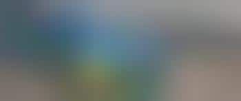 Indy 500 Green Ethanol Pace Car