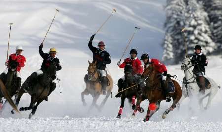 Snow Polo
