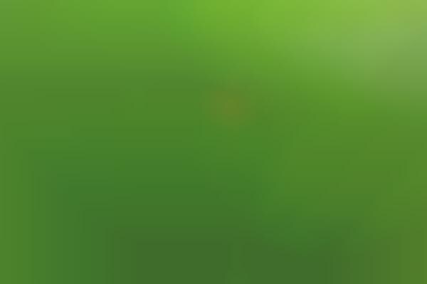 Broccoli-Colored Coastlines