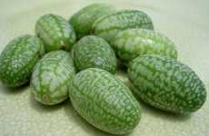 Miniaturized Summer Fruits