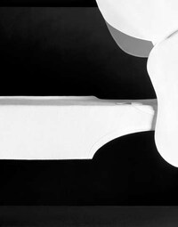 Meticulous Monochromatic Editorials Image 3