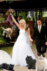 Fat Cat Retouching Apps Image 3