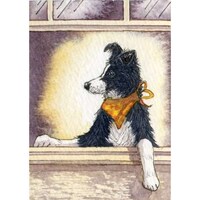 Creative Canines Image 2