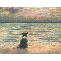 Creative Canines Image 3