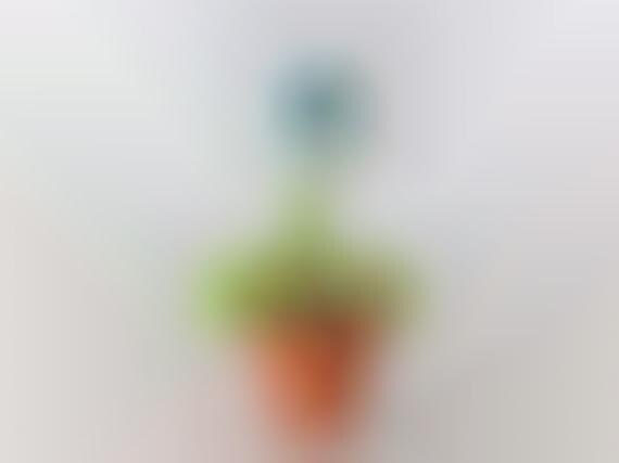 Extraterrestrial Plants