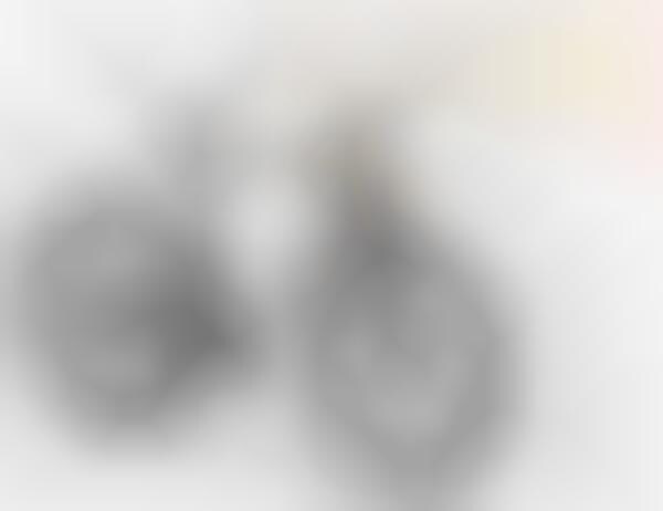 Steerable Bike Locks