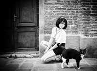 Feline Friendship Photography Image 2