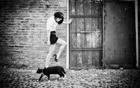Feline Friendship Photography Image 6