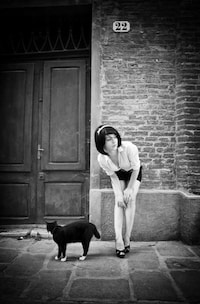 Feline Friendship Photography Image 8