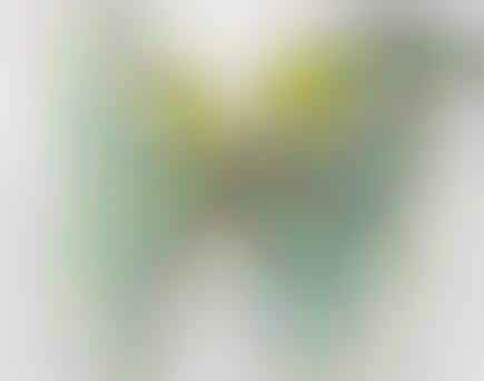 Logo-Stamped Insects