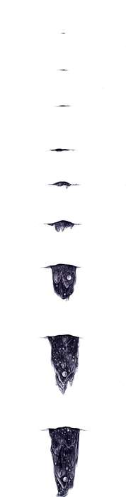 Surrealist Psychedelic Illustrations Image 8