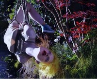 Drowning Swamp-Side Spreads Image 8