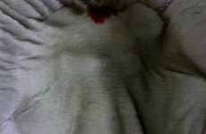 Cartoon Chalk Outlines