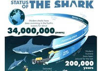 Shocking Sea Creature Charts