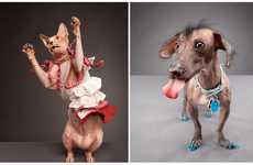 Polished Pet Portraits