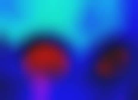 Colorfully Cavernous Exhibits
