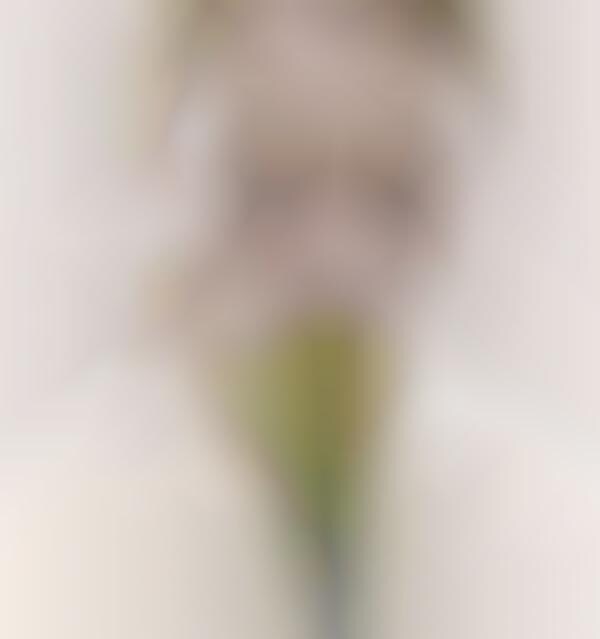 Unsettling Portraiture