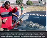 Hilarious Broken English Blogs Image 7