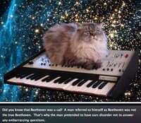 Hilarious Broken English Blogs Image 8