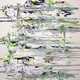 Expressive Abstract Paintings Image 2