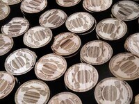 Lumber Coin Coupons Image 5