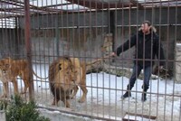 Risky Animal Activism Acts Image 2